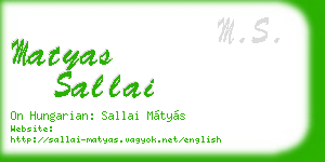 matyas sallai business card